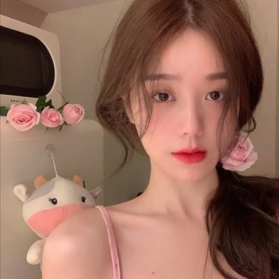 小狗吉米走私事件